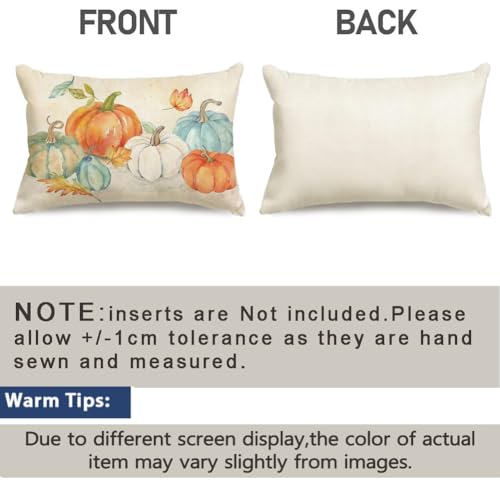 RABUSOFA Fall Lumbar Pillow Covers 12x20, Set of 2 Pumpkin Farmhouse Decor