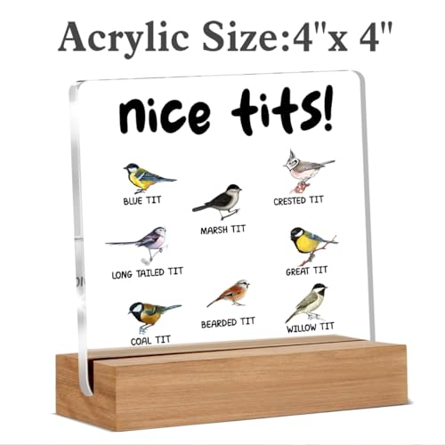 Funny Acrylic Sign for Bird Lovers - 4x4 Inch Desk Decor