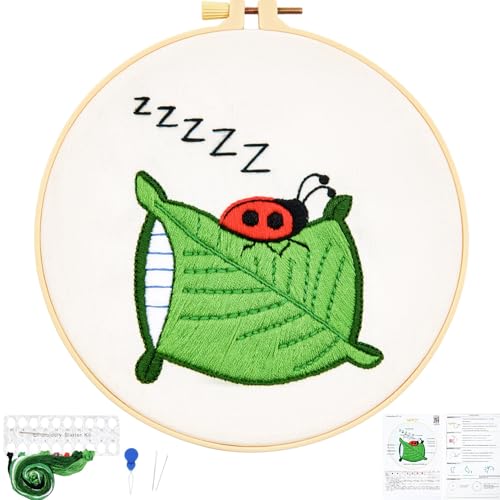 Beginner Embroidery Kit with Video Tutorial - Crafmanoe