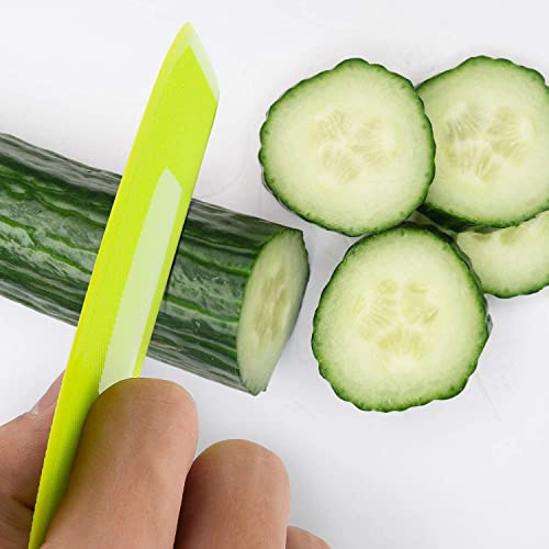 LUTER Plastic Dough Scraper Set - 2 Pack, 12x9.5 cm