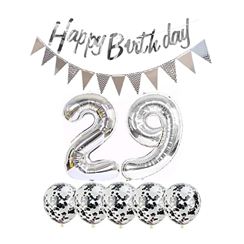 29th Birthday Decoration Kit with Silver Balloons & Banner