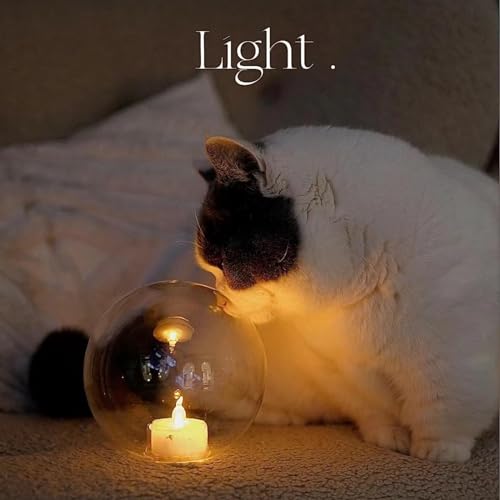 SupBri Flameless LED Tea Lights Candles Pack of 96 Drop Wax Shape