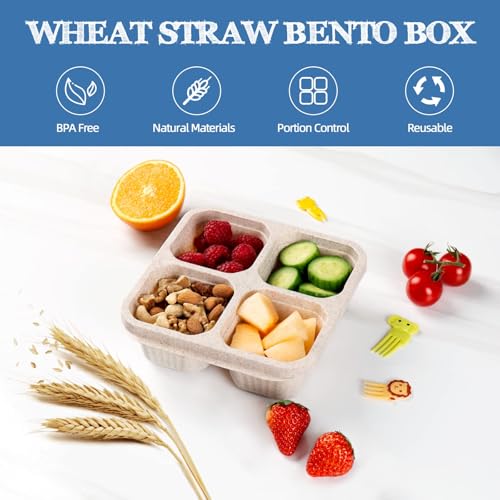 BE OVER QUALITY 4-Pack Bento Box, 4-Compartment Lunch Containers - Multicolor