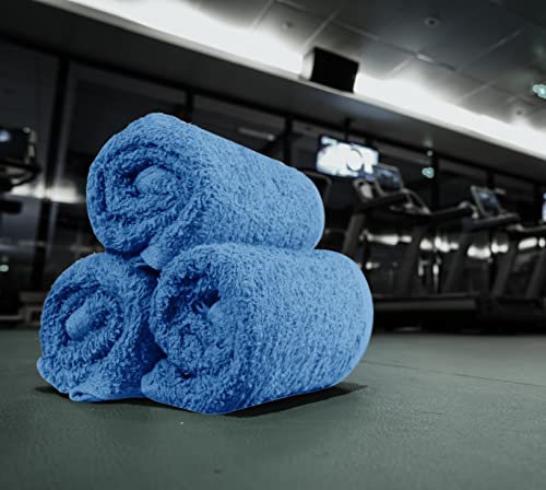 Utopia Towels Electric Blue 12 Pack Cotton Washcloths Set