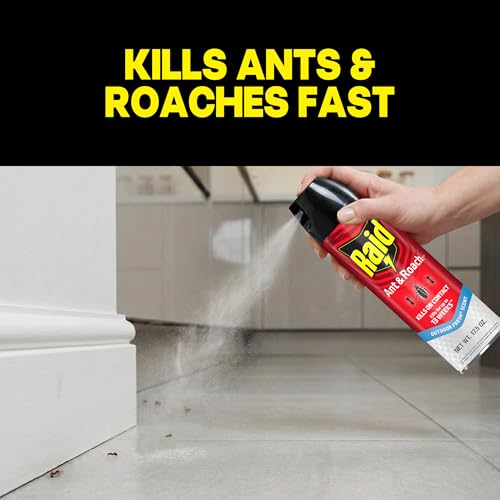 Raid Ant & Roach Killer Spray, Outdoor Fresh Scent, 17.5 oz - Kills for 13 Weeks