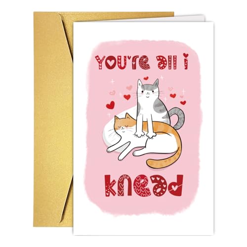 Cute Cat Pun Anniversary Card for Cat Lovers - 8x5.3 in