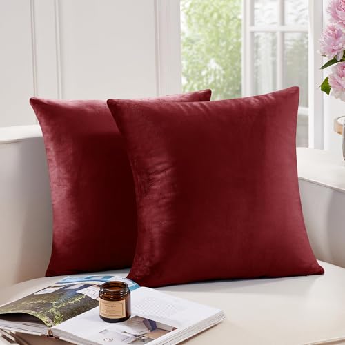 Deconovo Velvet Throw Pillow Covers - 2 Pack, 26x26 Inch, Wine Red