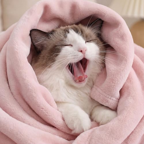 Bedsure Queen Fleece Blanket, Soft Lightweight Plush Bedding, Cherry Blossom Pink