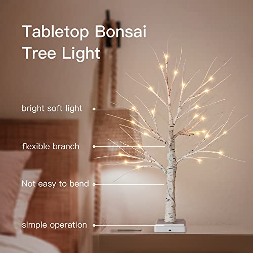 Lighted Mini Birch Tree Christmas Decoration 2ft White with USB & Timer