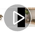 Solid Brass Mini Golden Retriever Dog Figurine – 1.85" Retro Animal Statue