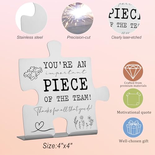 Puzzle Piece Desk Sign Appreciation Gift for Coworker Employee
