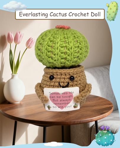 Handmade Emotional Support Crochet Cactus Desk Decor Gift