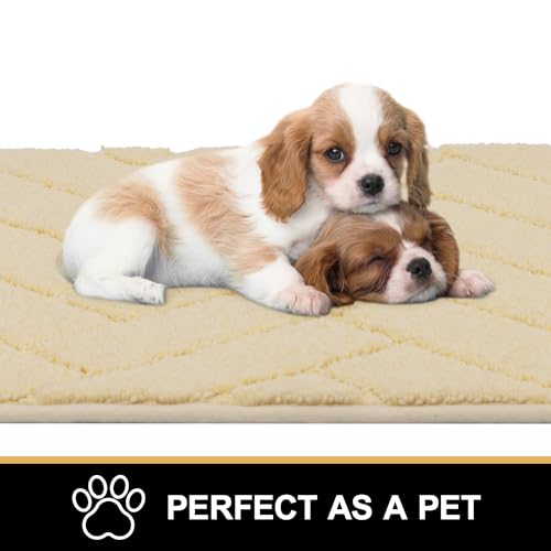 Hicorfe Indoor Doormat - Non-Slip Absorbent Floor Mat 20"x32"