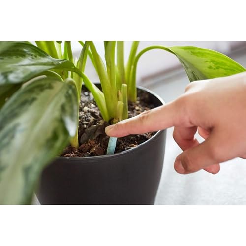 Miracle-Gro Indoor Plant Food Spikes, 24-Count Fertilizer for Houseplants