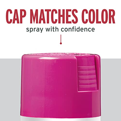 Rust-Oleum Stops Rust Spray Paint, Gloss Poppy Pink - 12 oz (Pack of 6)