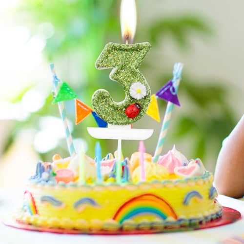Green Ladybug Number 2 Birthday Candle with Daisy Decoration