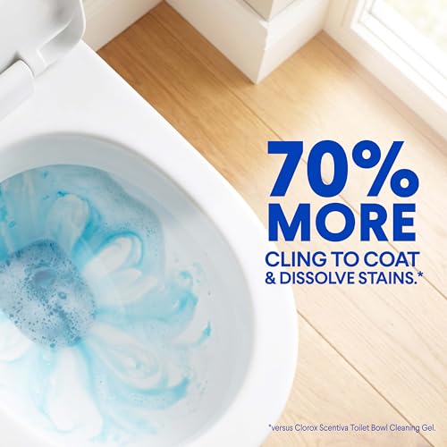 Clorox Heavy-Duty Toilet Bowl Cleaner Gel, Arctic Clean, 24 oz (Pack of 2)