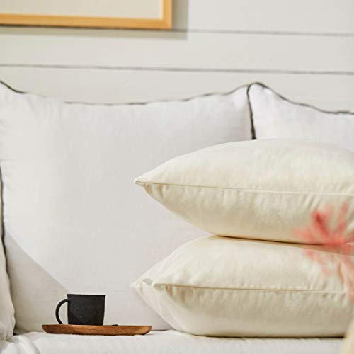 Pack of 2 White Velvet Throw Pillow Covers 18x18 Inch for Sofa