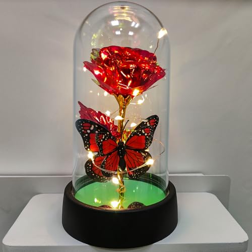 JZILU Colorful Eternal Rose in Glass Dome with Warm LED Fairy Lights