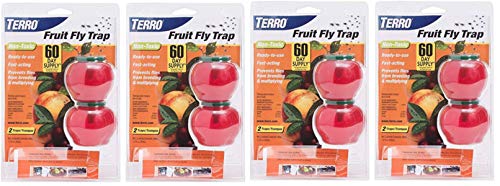 Terro Fruit Fly Trap 8-Pack | Fast-Acting Household Pest Control