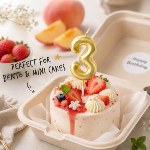 CARGEN Gold 3D Birthday Number Candle for Mini Cakes | Chubby Design