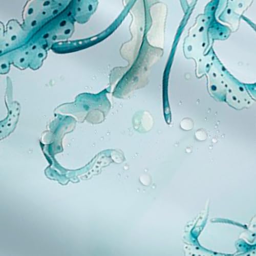Erosebridal Jellyfish Blue Beach Shower Curtain Set 72x78 Inches Cyan Light Beige Waterproof