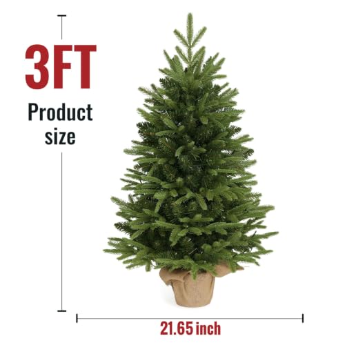 3ft Pre-Lit Nordic Fir Tabletop Christmas Tree with Pot - Warm White LEDs, Timer, Burlap Base