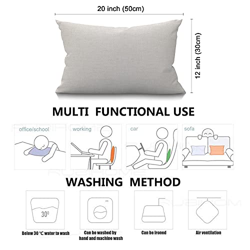 Smooffly 12x20 Inch Rustic Cotton Linen Pillow Cover - North South East West Arrows