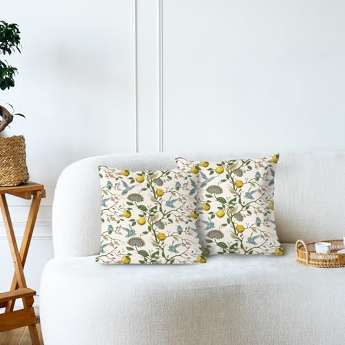 Supwhd 18x18 Inch Chinoiserie Pillow Cover with Hummingbird & Lemon Design - Set of 1