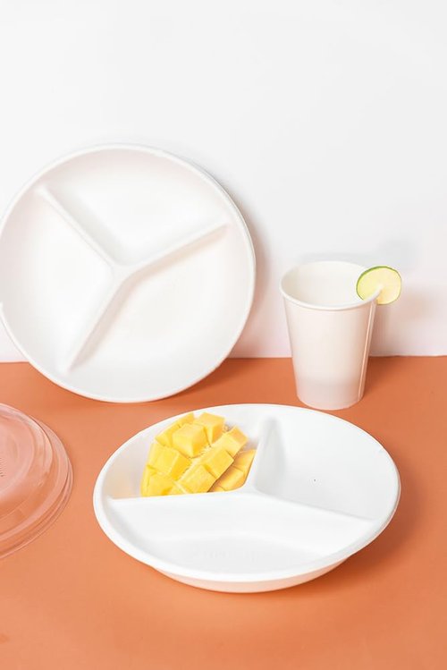 Greenprint 9-Inch 3 Compartment Deep 100% Compostable Sugarcane Plates - PFSA Free, Grease Resistant, Unbleached, Eco-Friendly Dinnerware for Catering, Full Meals, Hot/Cold Foods, 200 CT.