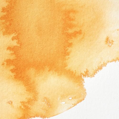 Winsor & Newton Professional Watercolor Tube - Winsor Orange (14ml) - Vibrant, Transparent, Archival Quality