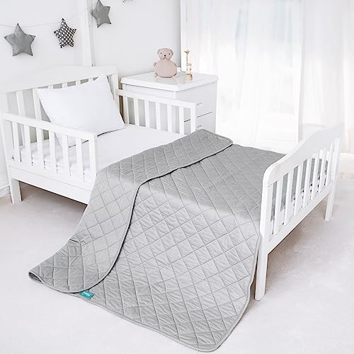 Biloban Toddler Comforter - Soft Down Alternative Quilted Blanket, 39x47 Grey