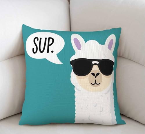 Swono Funny Llama Throw Pillow Cover Case, 18x18 inch, Sw-007
