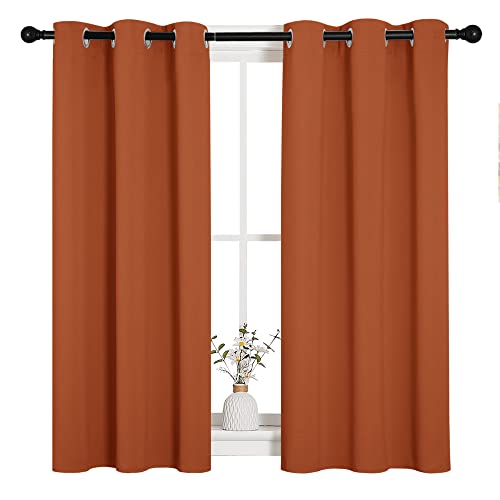 NICETOWN Burnt Orange Kitchen Curtains 34" W x 48" L (2 Panels)