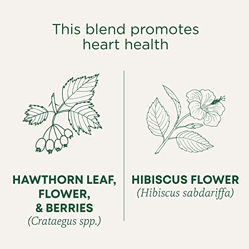 Traditional Medicinals Organic Hawthorn & Hibiscus Tea, 32 Tea Bags
