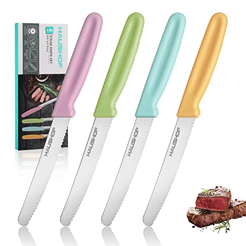 Multicolor HAUSHOF 4-Piece Serrated Steak Knife Set - Premium Stainless Steel with Gift Box