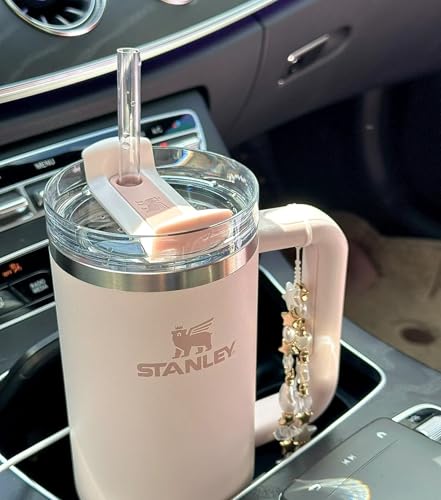 Replacement Straws & Holder for Stanley Cup 30 & 40 oz Tumbler