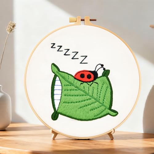 Beginner Embroidery Kit with Video Tutorial - Crafmanoe