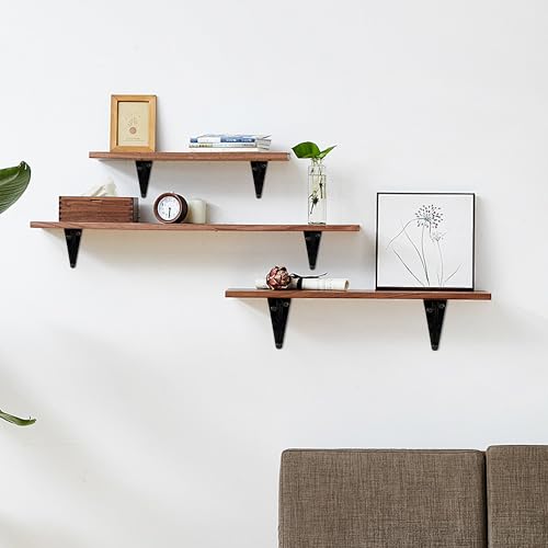 Lilaly Heavy Duty Shelf Brackets 4" x 5" - 10 Pack, Black L Brackets for Floating Shelves