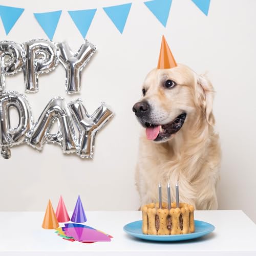 10 Pcs Colorful Mini Party Hats for Stuffed Animals