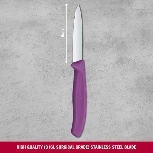Victorinox Swiss Classic Purple Paring Knife - NSF Approved