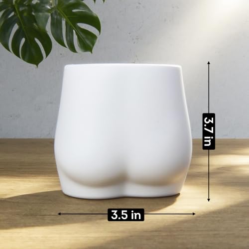 Lily's Home Silicone Toothbrush Holder - Minimalist Design with Drain Hole