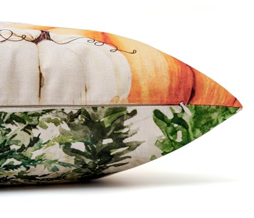 Auomily 18x18 Inch Double-Sided Fall & Christmas Throw Pillow Covers, Set of 2