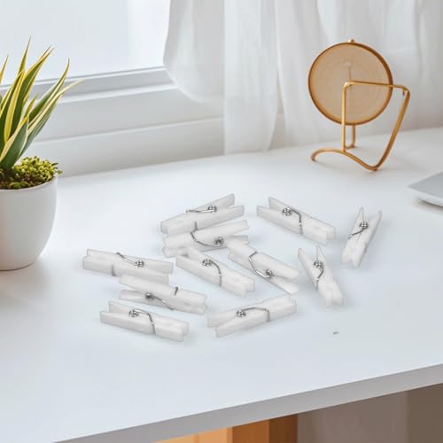 20 Mini Plastic Clothes Pins - 1.37 Inch for Crafts & Decorations
