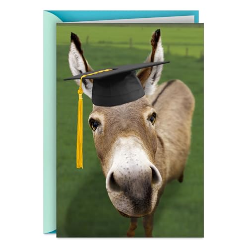 Funny Graduation Card - Smart Donkey by Hallmark