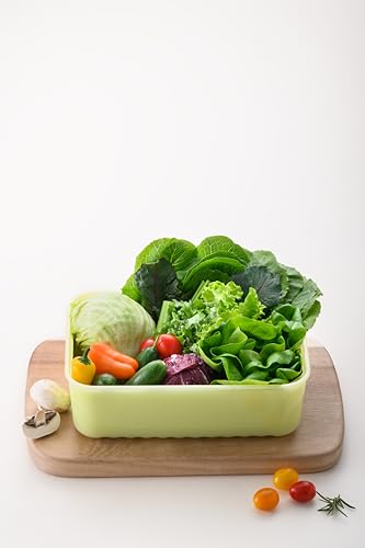 LocknLock Fresh-Block 330ml Food Storage Container for Fruits & Vegetables