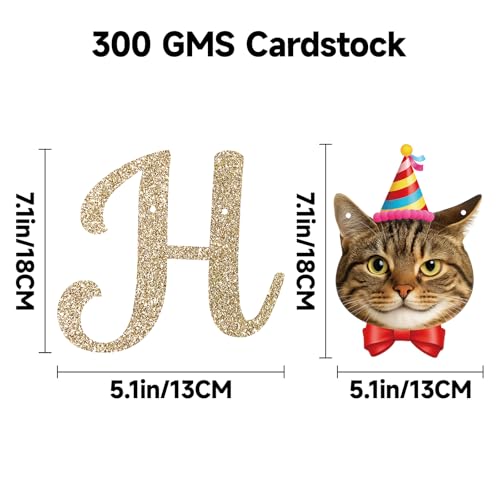 Cat Themed Happy Birthday Banner and Hanging Swirls Set - Multicolor