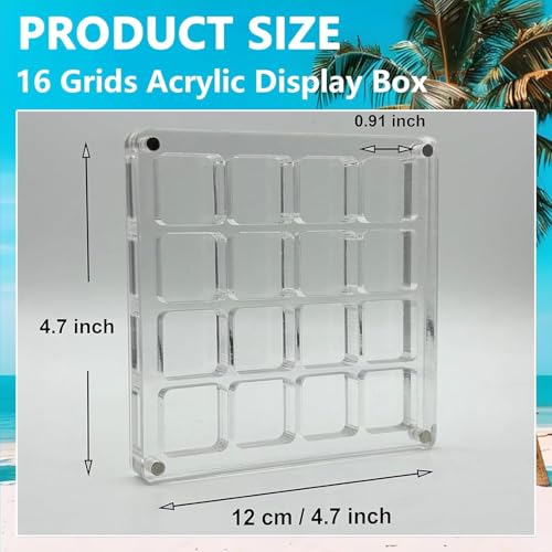 16-Grid Acrylic Display Box with Magnetic Lid - Seashell Organizer
