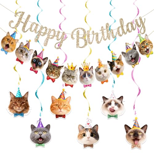 Cat Themed Happy Birthday Banner and Hanging Swirls Set - Multicolor