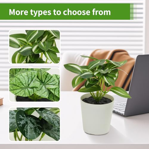 Freyalife 6 Pack Mini Artificial Potted Plants for Indoor Decor